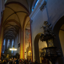 OLYMPUS DIGITAL CAMERA OLYMPUS DIGITAL CAMERA