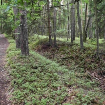 Hraniční příkopy, foto autor Hraniční příkopy, foto autor