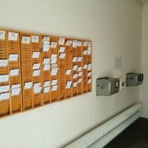 IMG_20231005_150738 IMG_20231005_150738