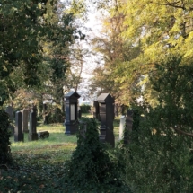 IMG_20240919_171132 IMG_20240919_171132